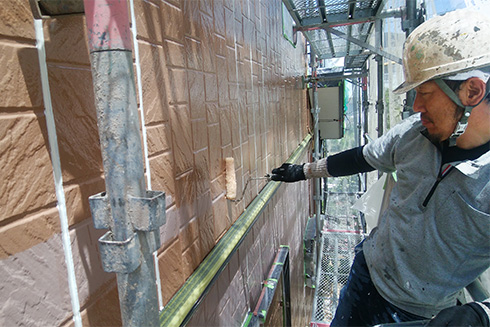 アカネについて